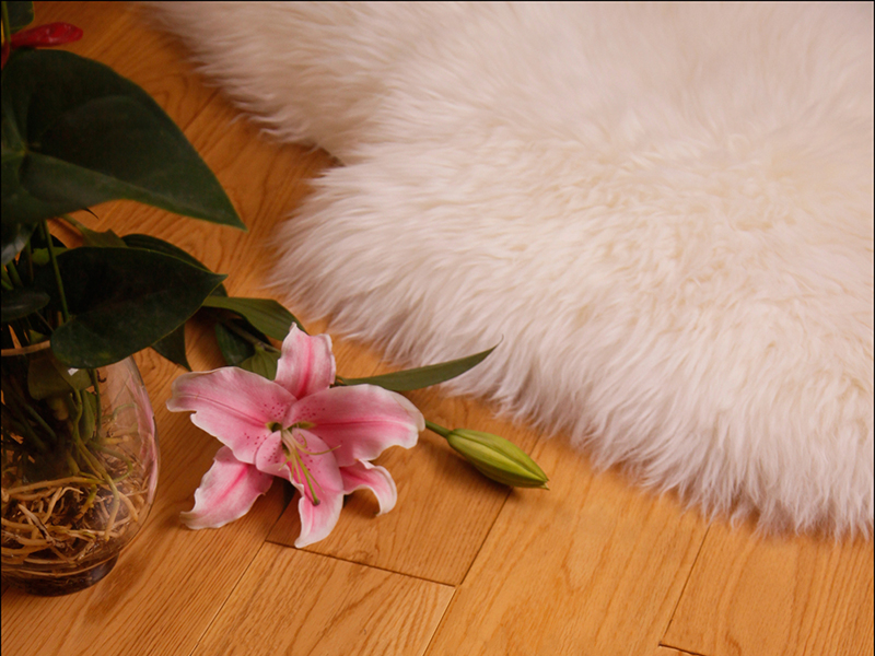 1559096350126707.jpg 橡木本色_副本.jpg